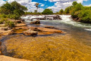 Fervedouro do Rio Sono Jalapao Tocantins Credito editorial Ticiana Giehl shutterstock 1347925925