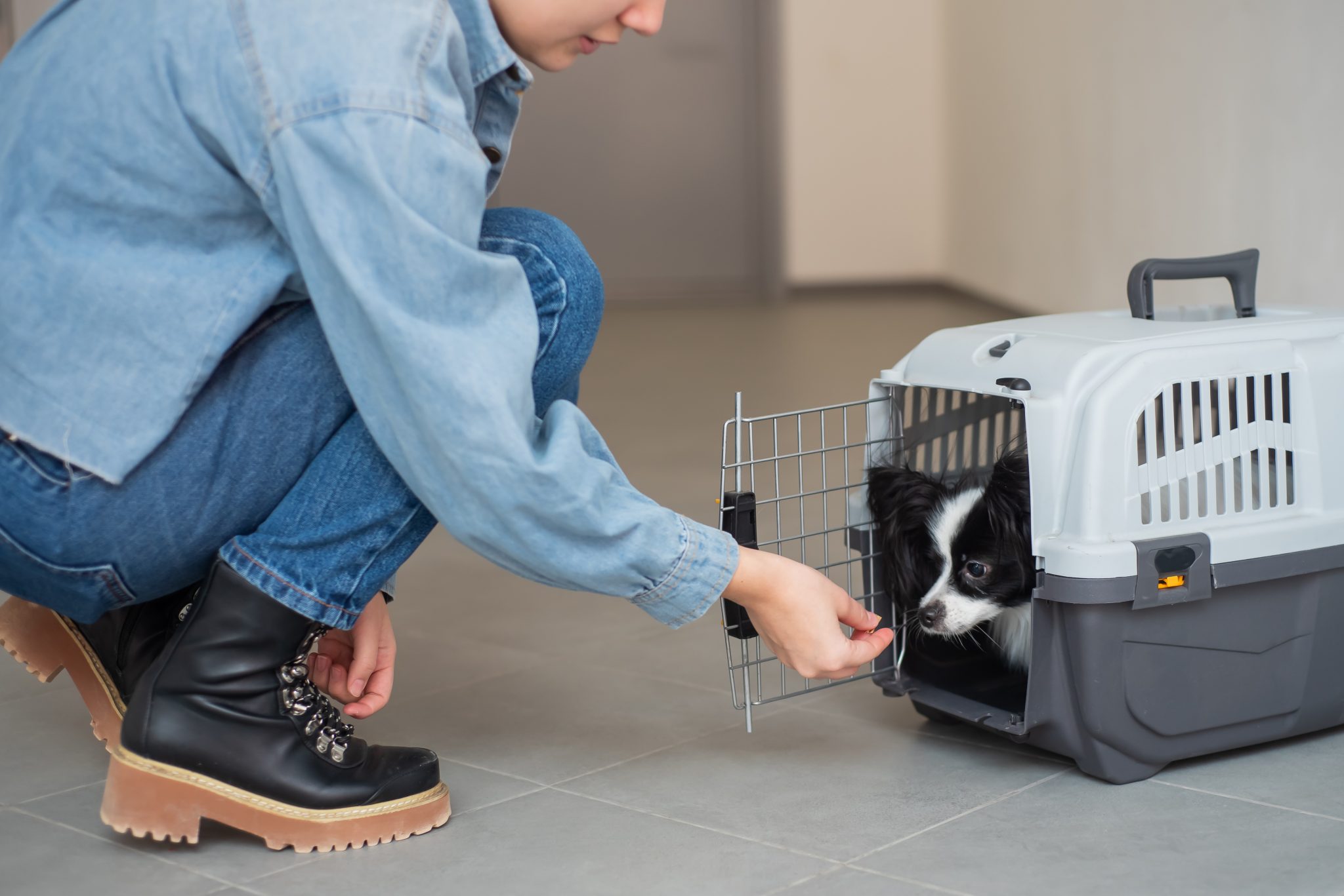shutterstock 1897048546 PEt