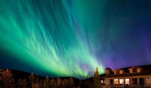 Alaska Denali National Park Alasca EUA shutterstock 1632001102