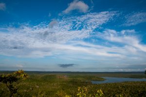 Floresta Nacional do Tapajos Alter do Chao Para Credito editorial Erica Catarina Pontes shutterstock 1066443557 Floresta Nacional do Tapajos Alter do Chao Para Credito editorial Erica Catarina Pontes shutterstock 1066443557