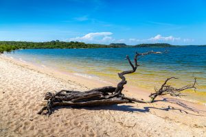 Ilha do Amor Alter do Chao Credito editorial Ticiana Giehl shutterstock 1407216059