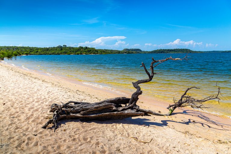 Ilha do Amor Alter do Chao Credito editorial Ticiana Giehl shutterstock 1407216059