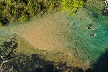 Lagoa Misteriosa Bonito Mato Grosso do Sul shutterstock 1661231815