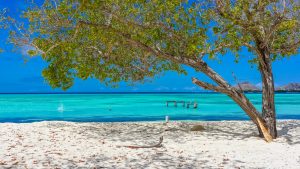 Los Roques Venezuela shutterstock 355962863
