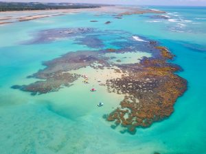 Maragogi Alagoas shutterstock 1836765643