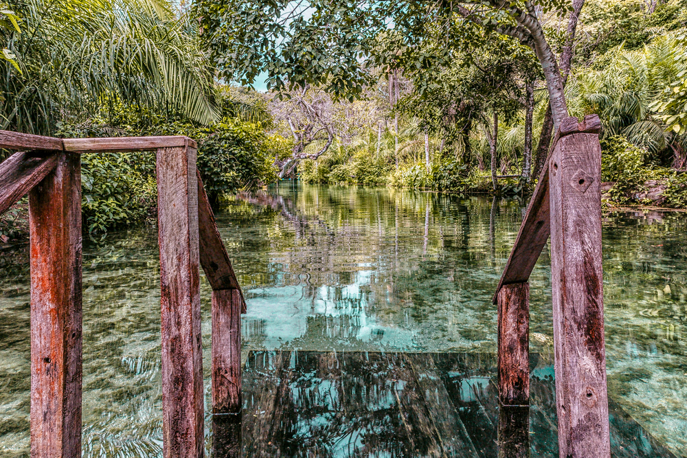 Nascente Azul Bonito Mato Grosso do Sul shutterstock 1839804802