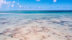 Praia de Barra Grande Maragogi Alagoas shutterstock 2041895918