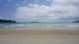 Praia de Lopes Mendes Angra dos Reis Rio de Janeiro shutterstock 1858752856