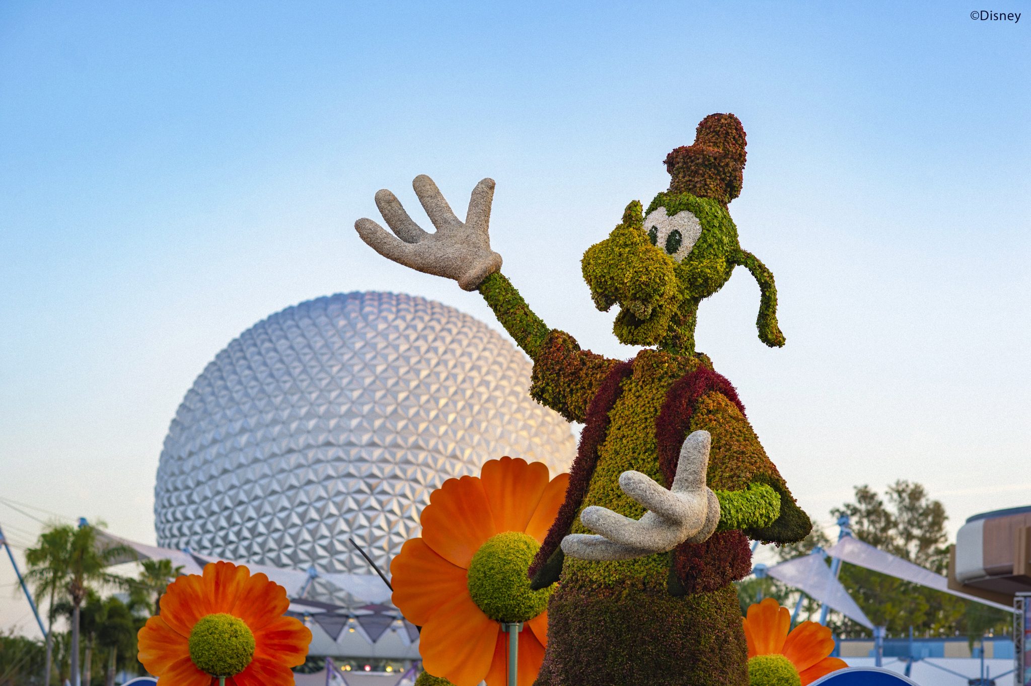 Texto Novidades 1 Walt Disney World Resort