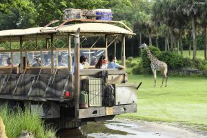 Texto Novidades 2 Walt Disney World Resort