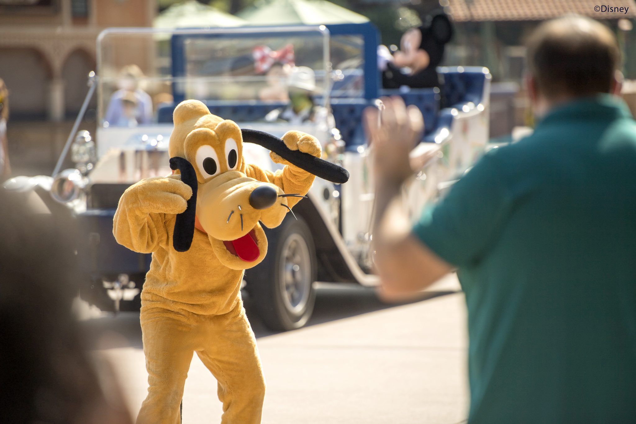 Texto Novidades 5 Walt Disney World Resort