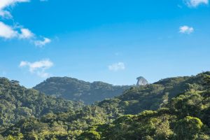 Vista do Pico do Papagaio Angra dos Reis Rio de Janeiro shutterstock 1631792746