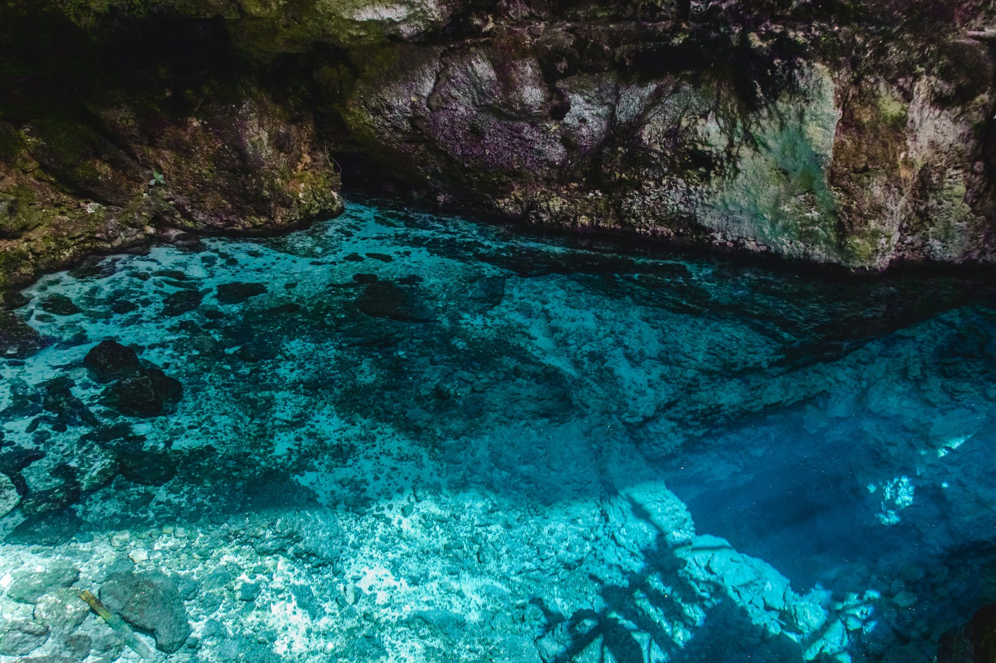 shutterstock 1251266971 Cenote Hoyo Azul - Punta Cana - República Dominicana | Crédito: Shutterstock
