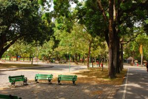 Parque da Jaqueira Recife Credito editorial Felipe Brasil shutterstock 1760290148