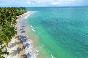 Praia dos Carneiros Tamandare Pernambuco shutterstock 1305303205