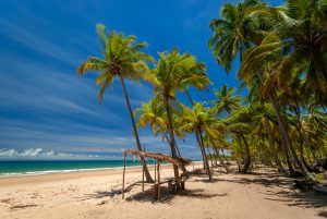 Praia Taipu de Fora - Península de Maraú - Bahia | Crédito: Shutterstock