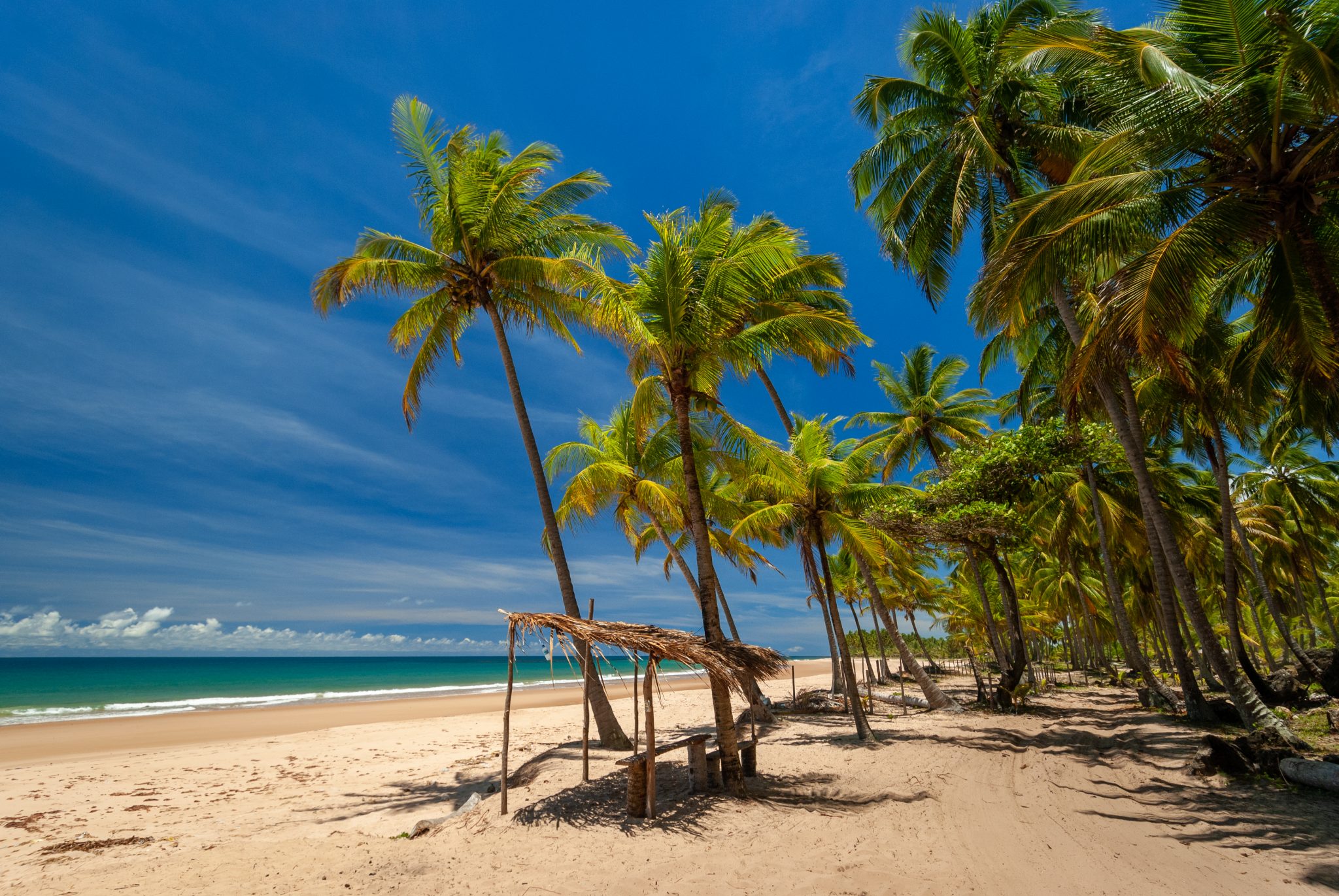 shutterstock 1637398138 Praia Taipu de Fora - Península de Maraú - Bahia | Crédito: Shutterstock