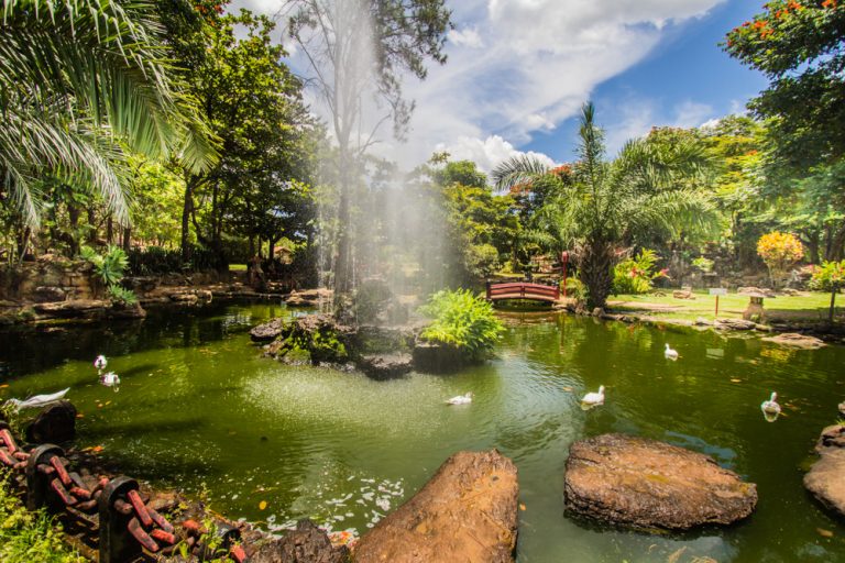 Jardim Japones Caldas Novas Credito editorial Judson Castro shutterstock 1315447415