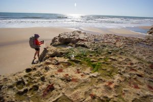 Praia da Barra De Sucatinga Beberibe Ceara shutterstock 1194907285 Praia da Barra De Sucatinga, a praia onde está sendo gravado "No Limite" - Beberibe - Ceará | Crédito: Shutterstock
