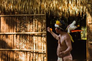 manaus Credito editorial Hans Denis Schneider Shutterstock.com