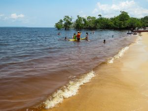 manaus Credito editorial Sandra Moraes Shutterstock.com shutterstock 1528942664