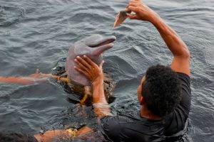 manaus shutterstock 1964593921