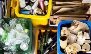 Como ter um dia a dia mais sustentável: fazer o descarte correto do lixo tem tudo a ver com a preservação da natureza | Crédito: Shutterstock