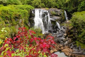 Cachoeira Veu da Noiva Pocos de Caldas Minas Gerais shutterstock 1592582869