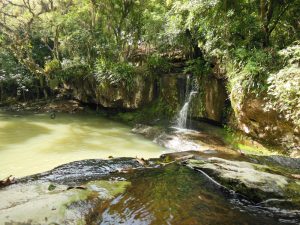 Cascata Colonia Monge Rolante Rio Grande do Sul shutterstock 1558693703