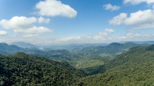 Corupa Santa Catarina shutterstock 1387784873