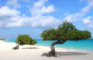 Eagle Beach Aruba shutterstock 81261067 Eagle Beach Aruba shutterstock 81261067