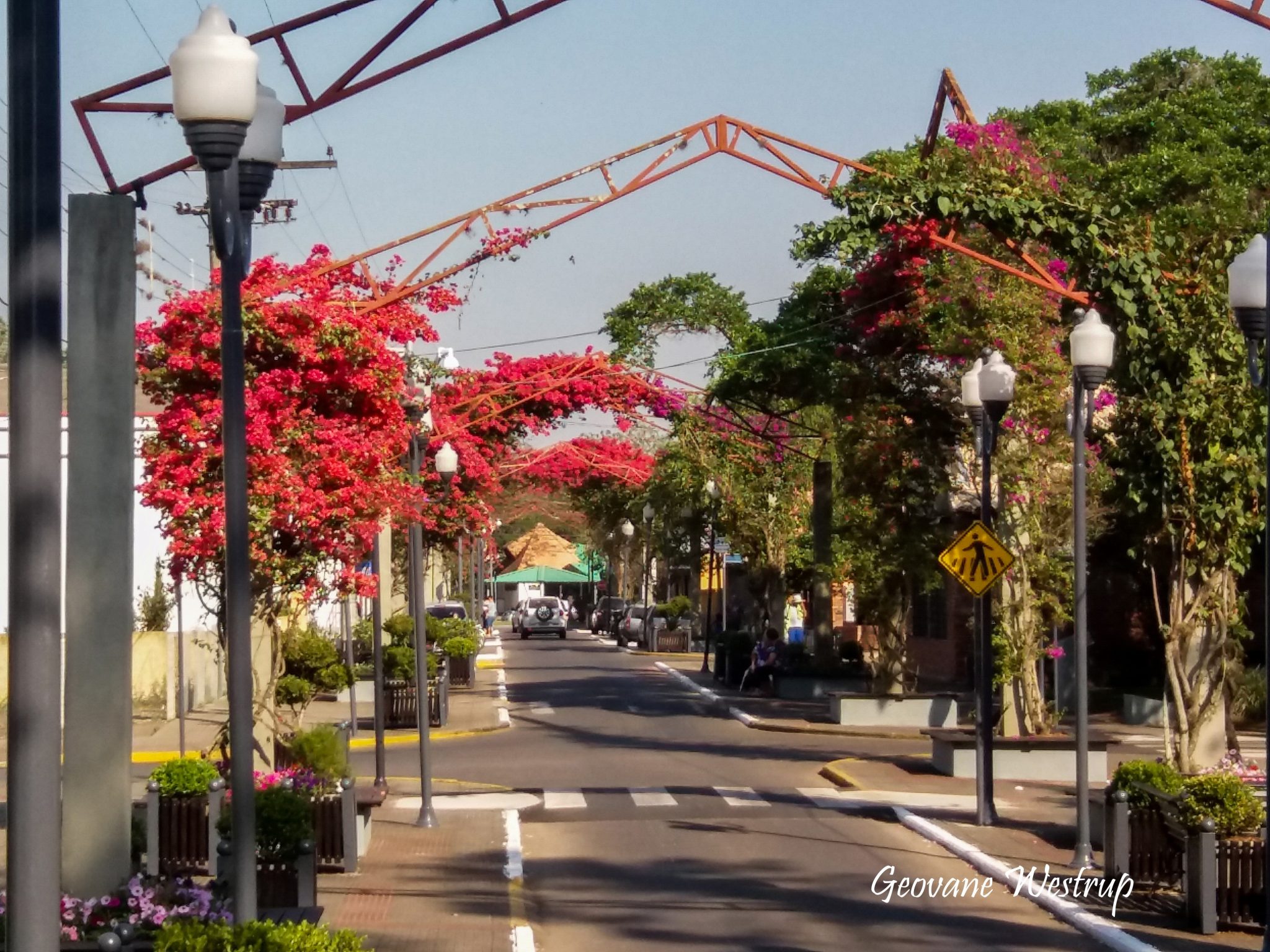 Rua Joao Jose Back Forquilhinha Santa Catarina Credito Geovane Westrup