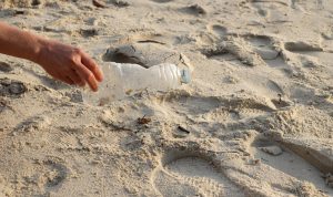 sustentabilidade shutterstock 1885358551