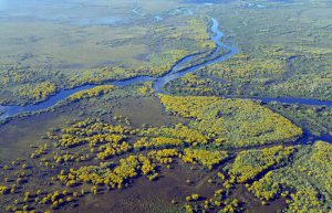 Pantanal Mato Grosso shutterstock 1977977558 Pantanal Mato Grosso shutterstock 1977977558
