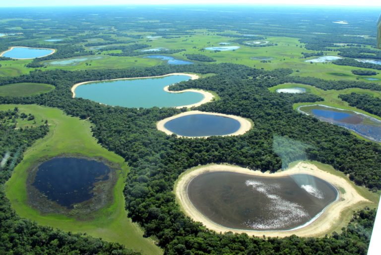Pantanal shutterstock 1115833883