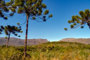 Serra do Caraca Minas Gerais shutterstock 1772663405