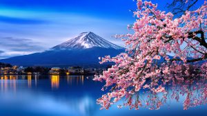 shutterstock 1346329283