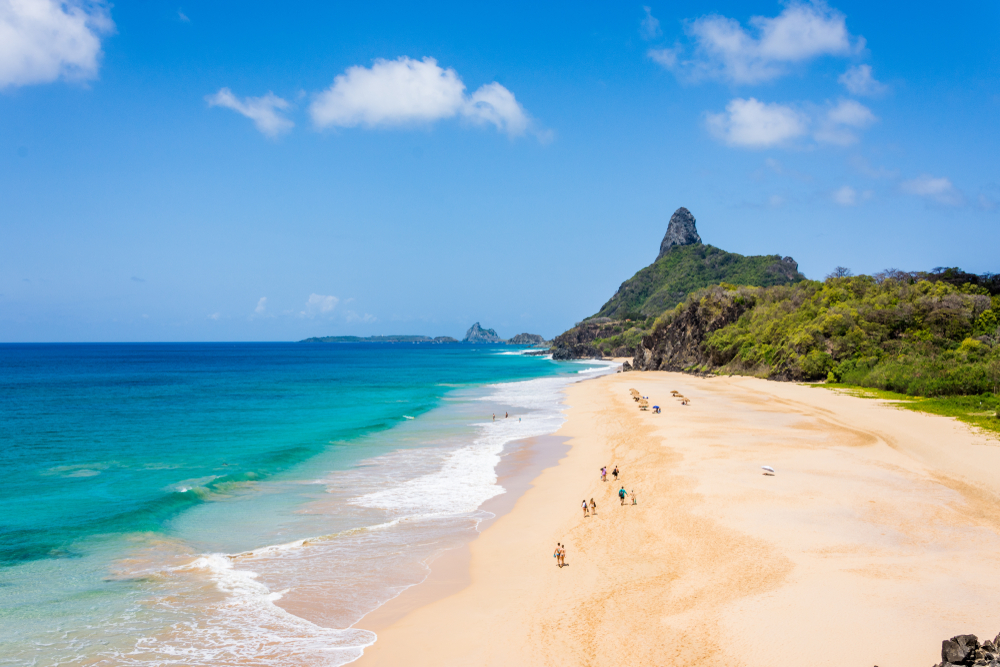 shutterstock 1091572061