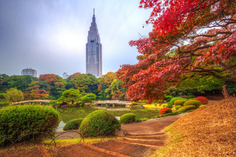 Shinjuku gyoen park toquio japao shutterstock 524375581 segue viagem