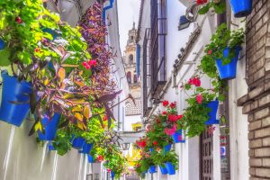 Calleja de las Flores Cordoba Espanha shutterstock 1048392802 Calleja de las Flores Cordoba Espanha shutterstock 1048392802
