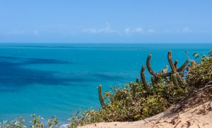 Praia da Malhada Jericoacoara Ceara shutterstock 1157676760