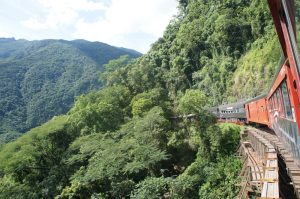 Passeios de trem pelo Brasil: o trem que vai de Curitiba a Morretes, no Paraná, é um dos mais procurados. Além disso, guarde bem esta dica: ao chegar a Morretes, não deixe de fazer um tour a pé pela cidade | Crédito: Shutterstock