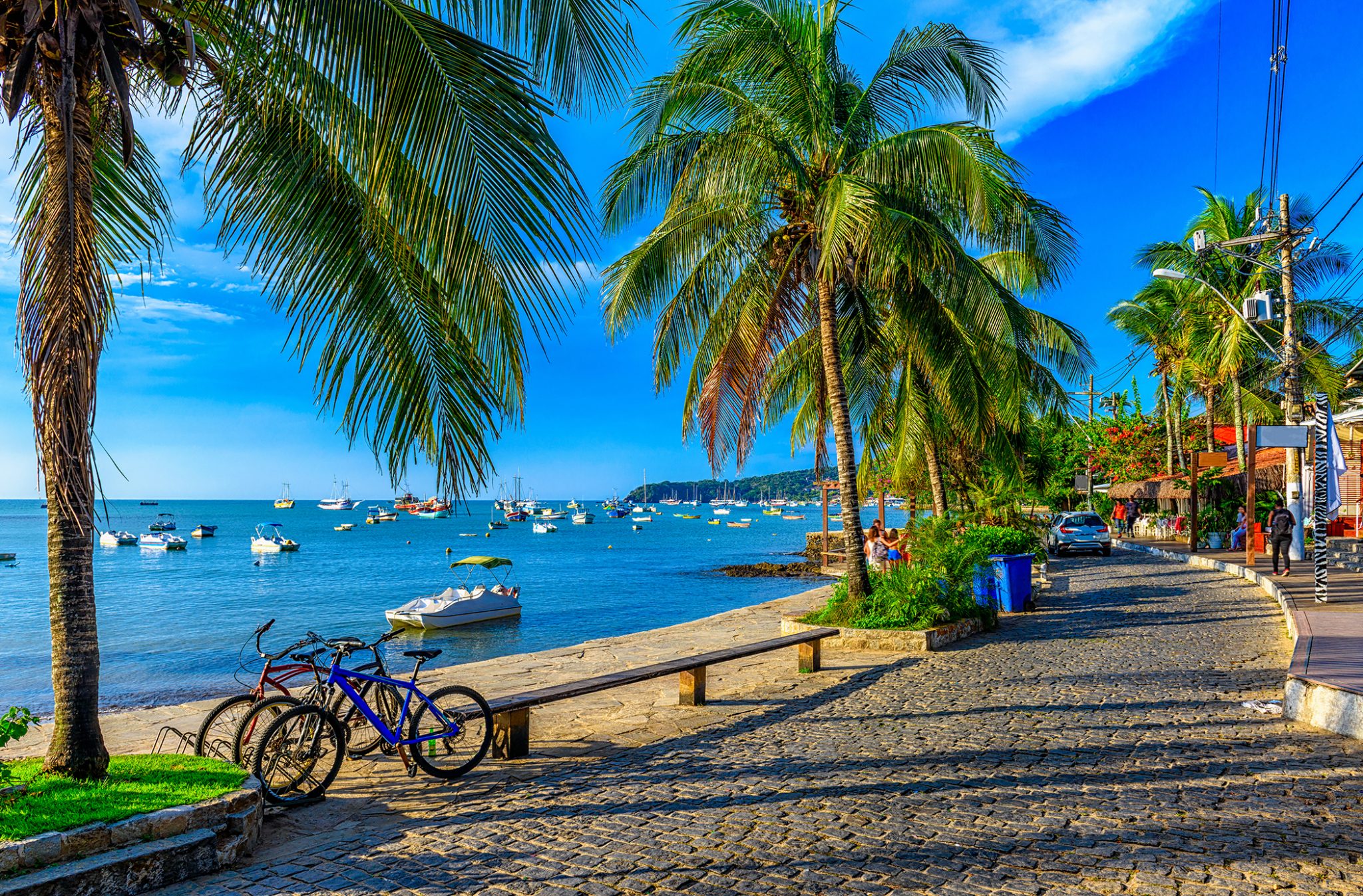 shutterstock 1464916073