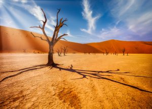 Deserto da Namibia shutterstock 1673004010 Deserto da Namibia shutterstock 1673004010