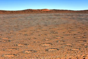 Deserto da Namibia shutterstock 320824076 Deserto da Namibia shutterstock 320824076
