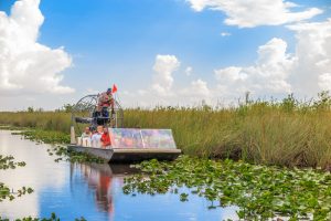 Dicas sobre Miami: o Everglades Park tem mais de 607 mil hectares de belas paisagens. Portanto, deve estar no seu roteiro de viagem para Miami | Crédito editorial: f11photo/Shutterstock.com
