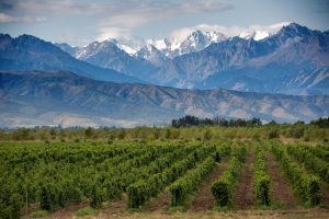 Mendoza shutterstock 702606829
