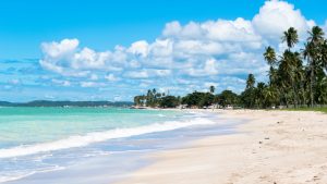 Praia de Antunes Maragogi Alagoas shutterstock 698176513