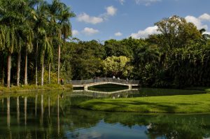 Inhotim shutterstock 1432000631