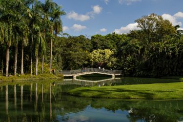 Inhotim shutterstock 1432000631